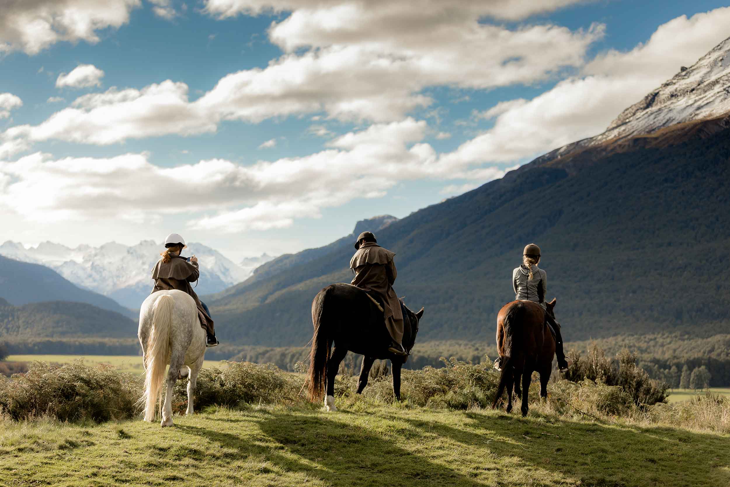 High Country Horses at Paradise Trust