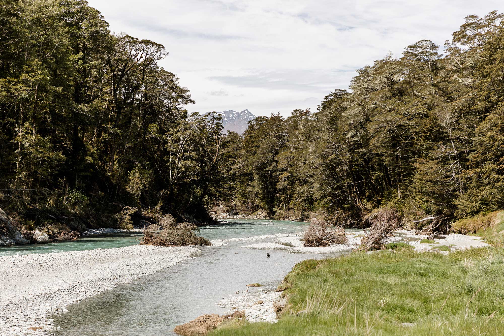 Routeburn Track - New Zealand Great Walks