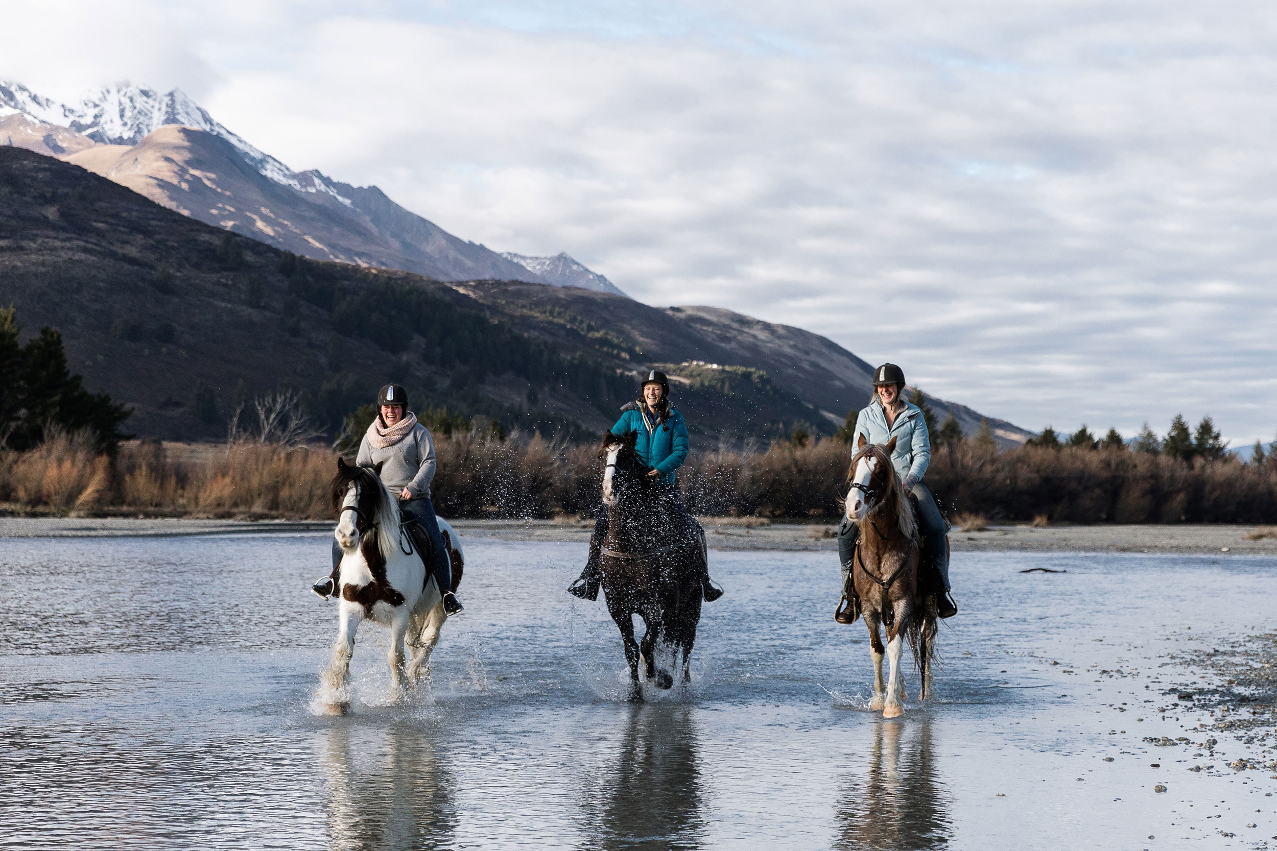 High Country Horses - Paradise Trust - Susan Miller Photography