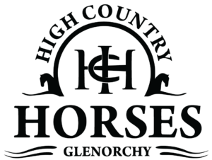 High Country Horses - logo